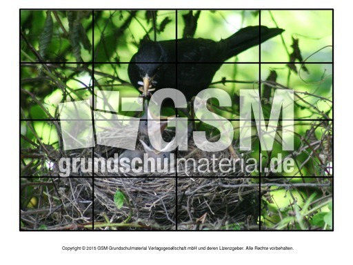 Puzzle-Amsel-1.pdf